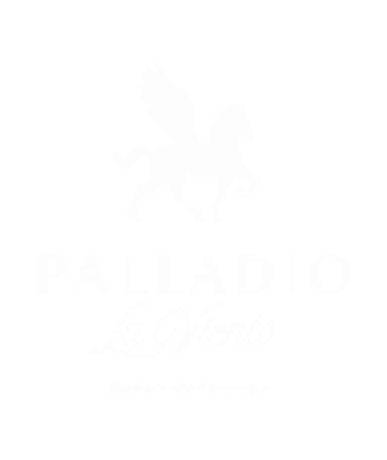 vj-palladio-lavienti-baner